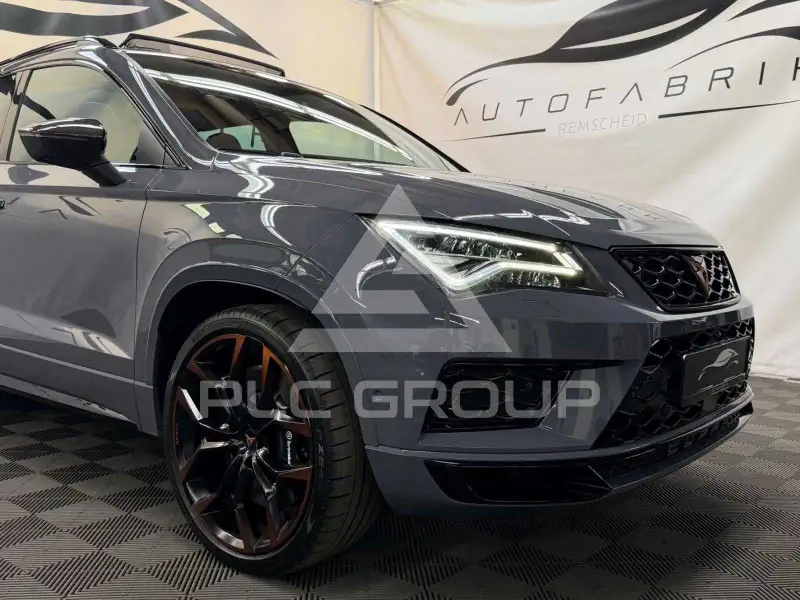 2020 Cupra Other