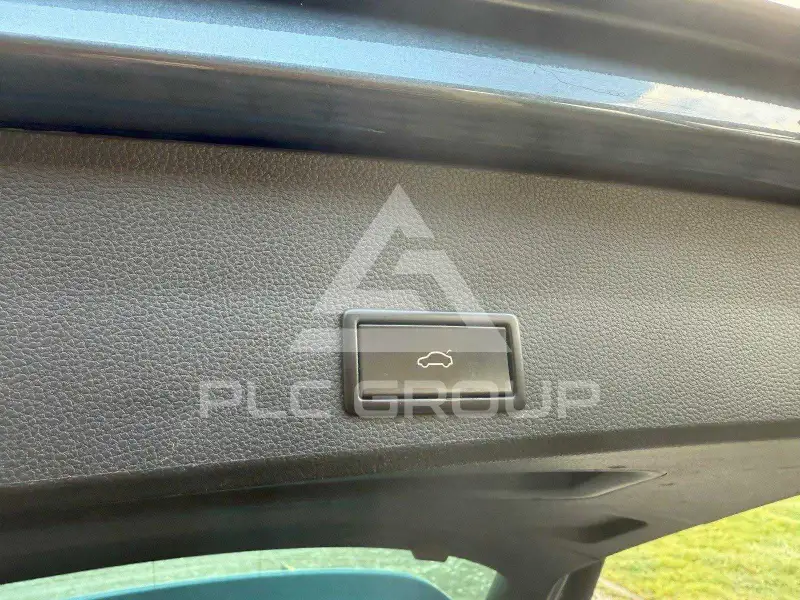 2020 Cupra Other