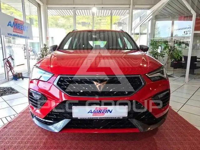 2020 Cupra Other