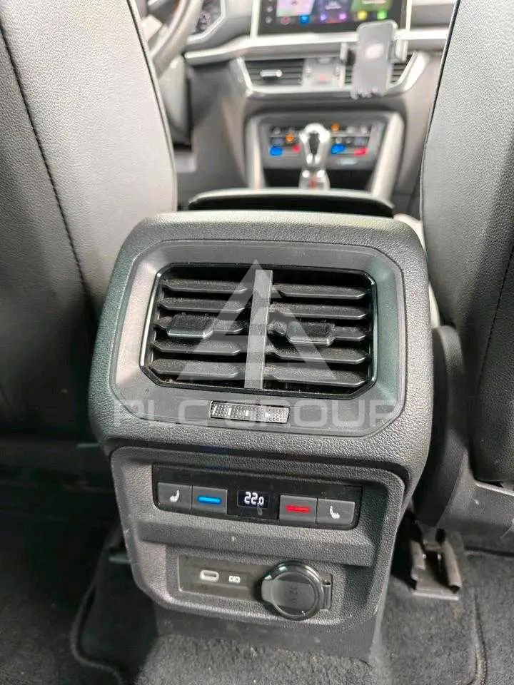 2020 Cupra Other