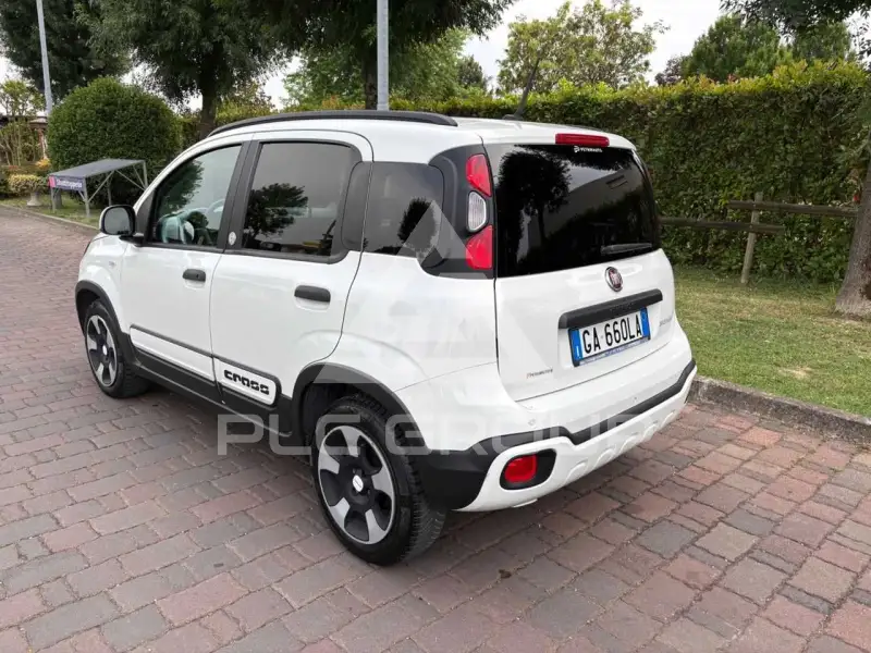 2020 Fiat Panda