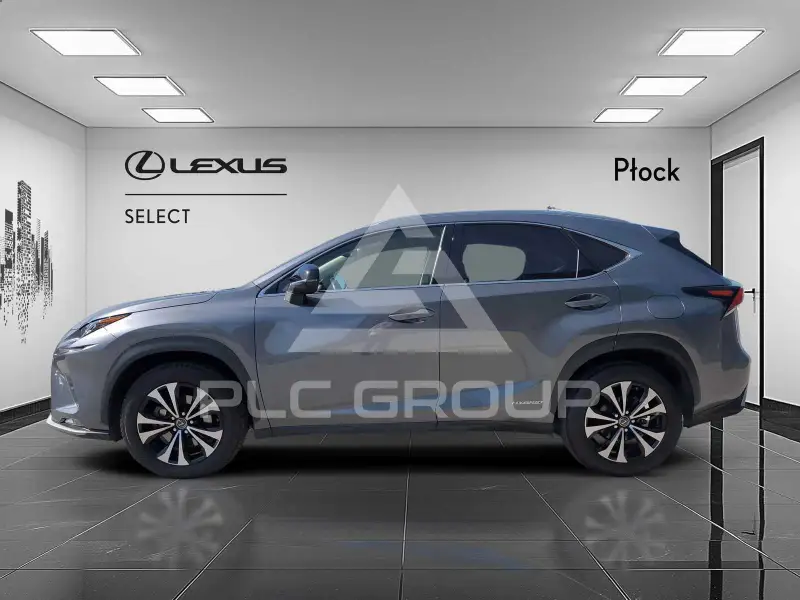 2020 Lexus NX