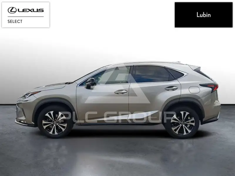 2020 Lexus NX