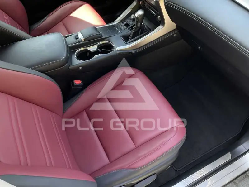 2020 Lexus NX