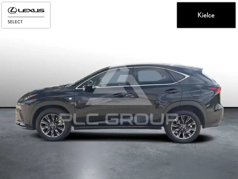 2020 Lexus NX