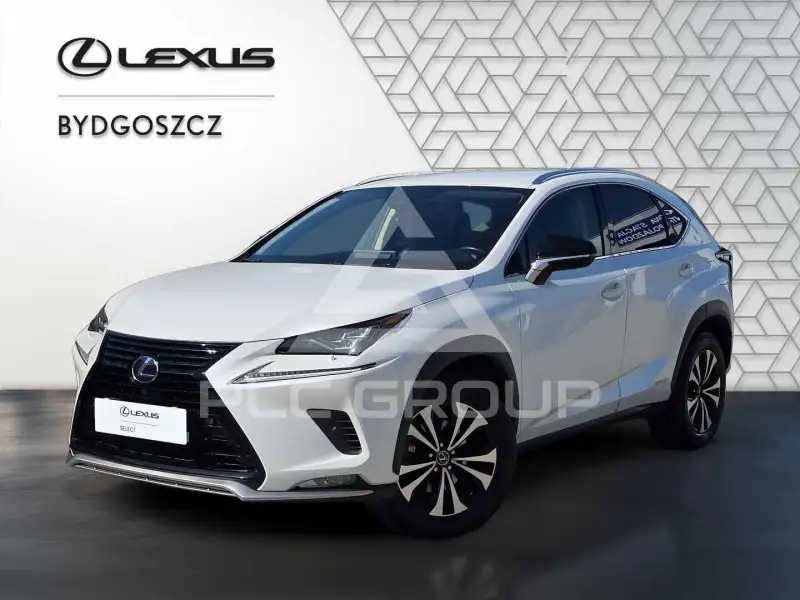 2020 Lexus NX