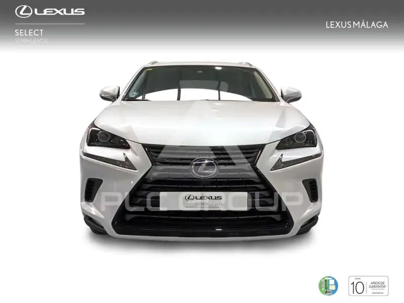 2020 Lexus NX