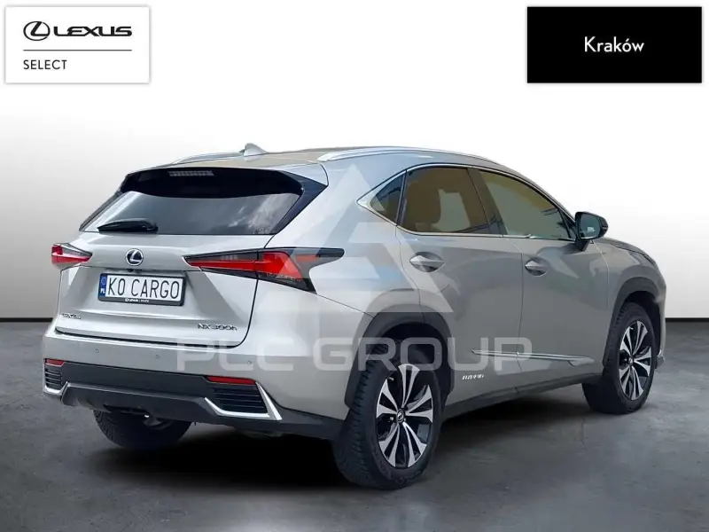 2020 Lexus NX
