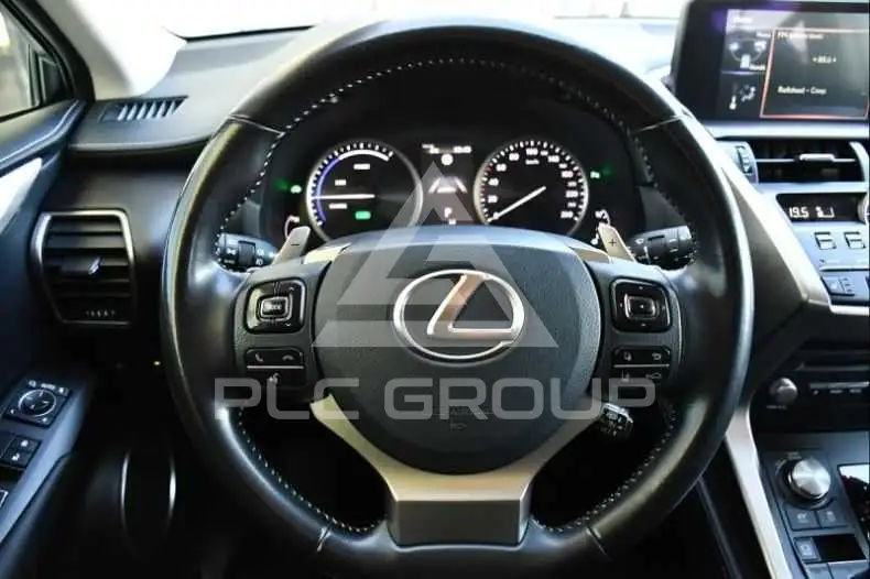2020 Lexus NX