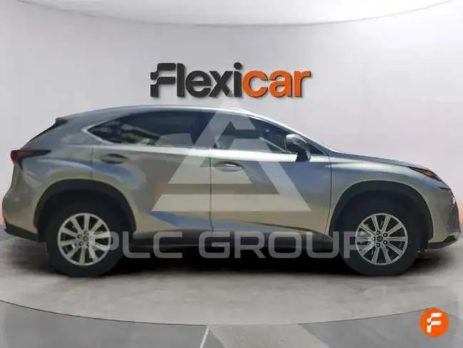 2020 Lexus NX