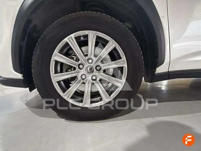 2020 Lexus NX