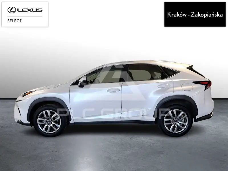 2020 Lexus NX