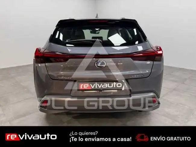 2020 Lexus UX