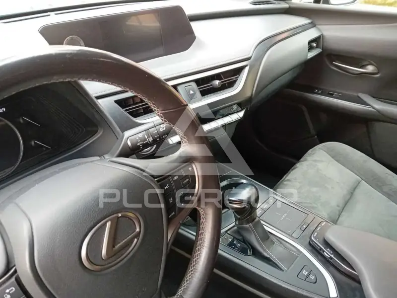 2020 Lexus UX