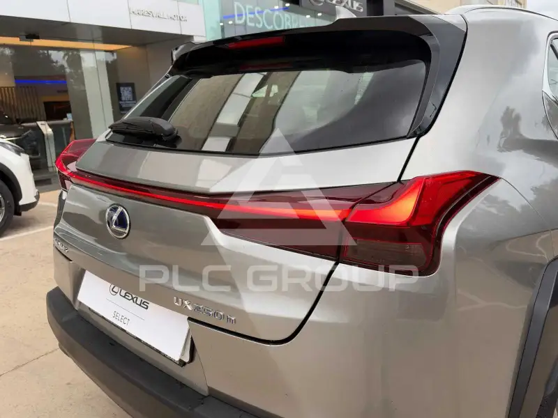 2020 Lexus UX