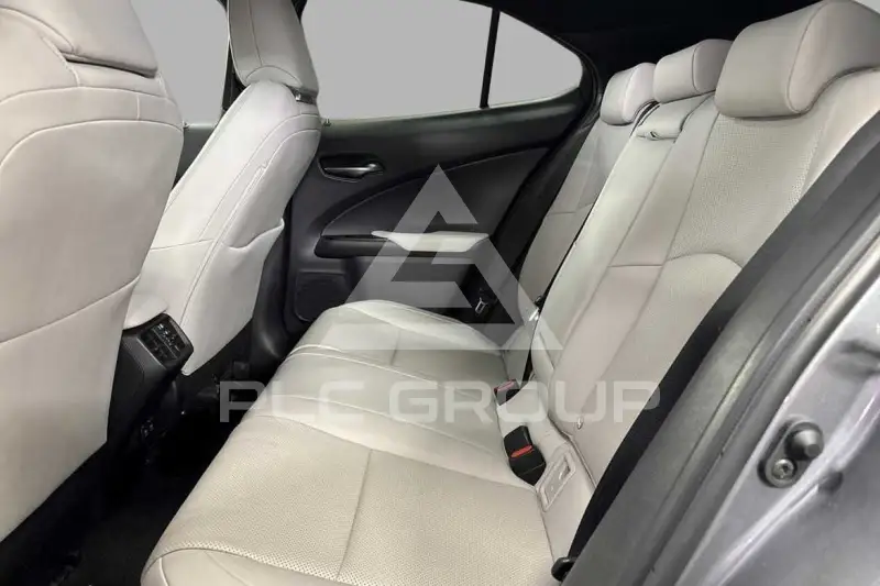 2020 Lexus UX