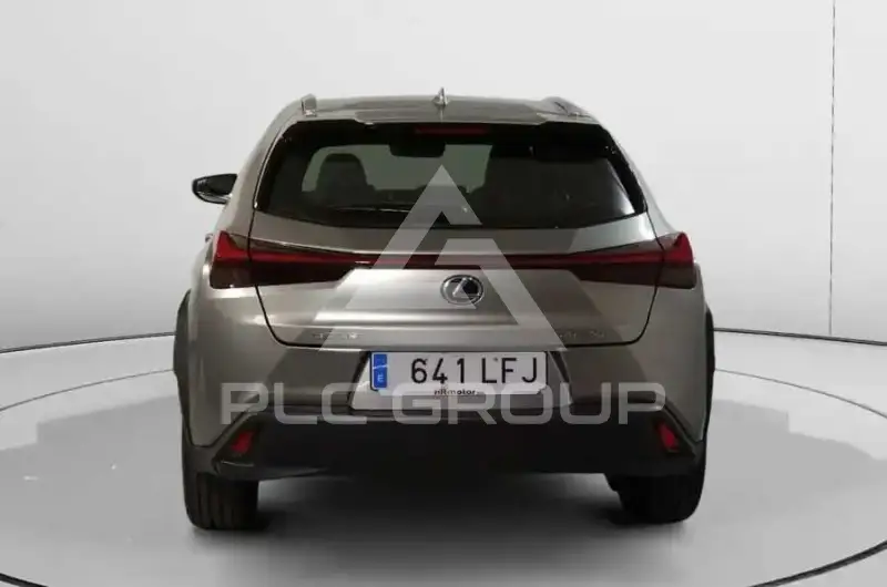 2020 Lexus UX