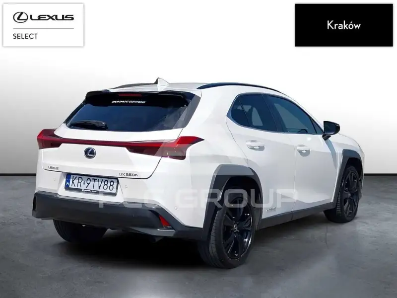 2020 Lexus UX