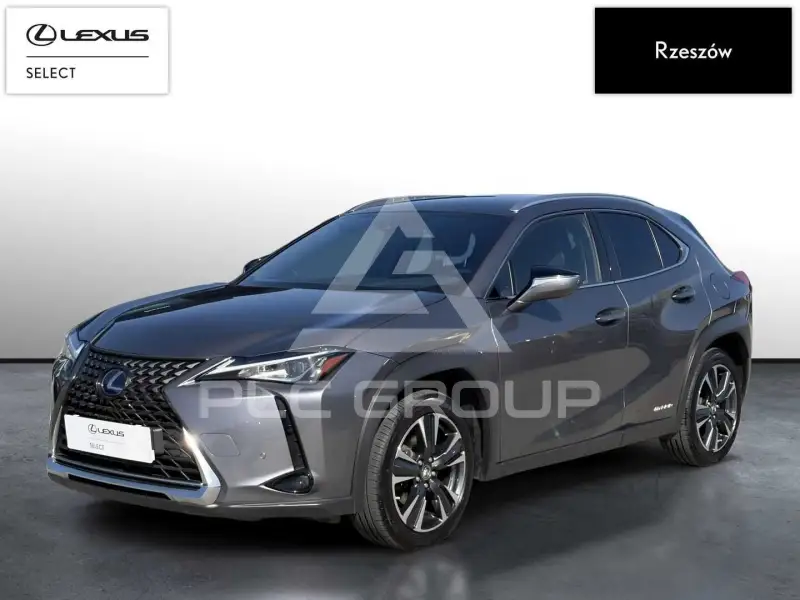 2020 Lexus UX