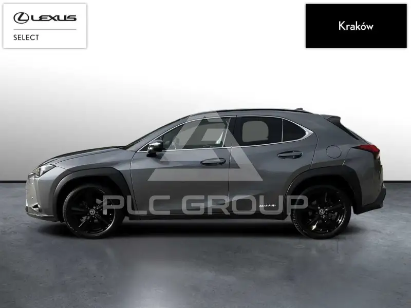 2020 Lexus UX