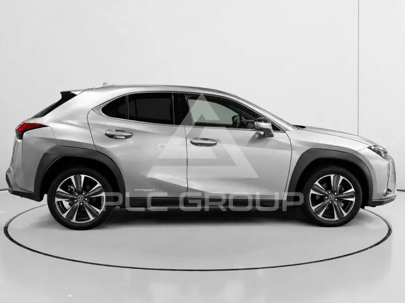 2020 Lexus UX