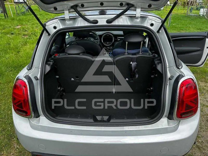 2020 Mini 