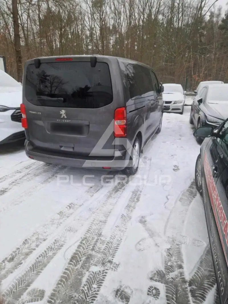 2020 Peugeot Traveller