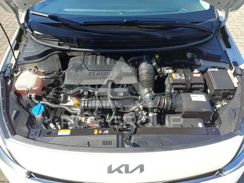 2020 KIA Rio