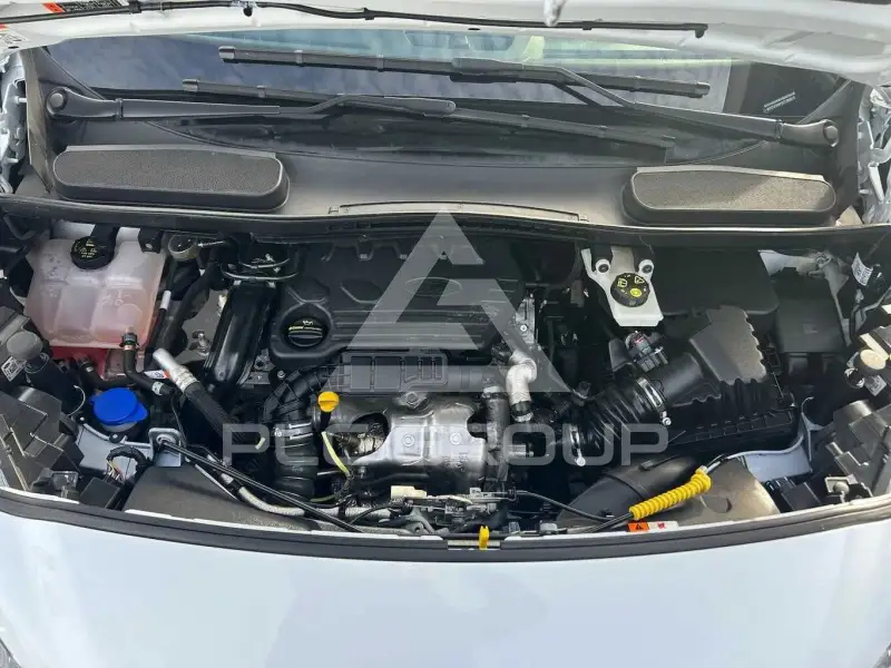 2020 Ford Tourneo