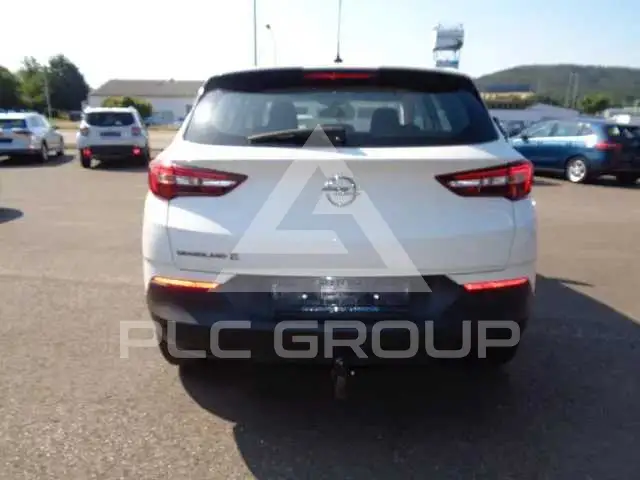 2020 Opel GrandlandX