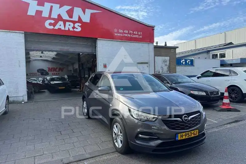 2020 Opel GrandlandX