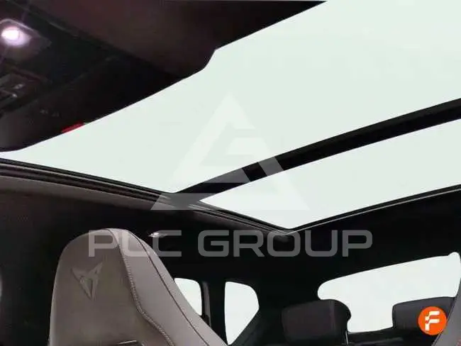 2021 Cupra Other