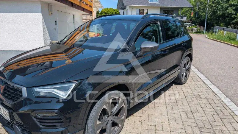 2021 Cupra Other