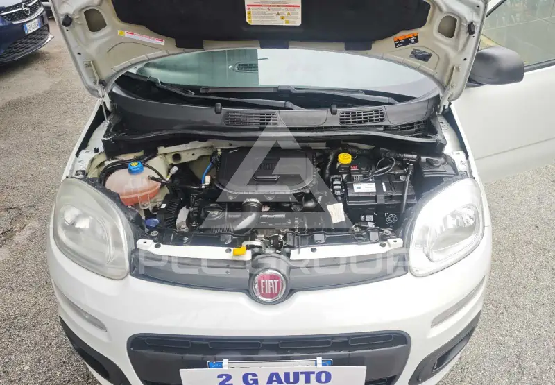 2021 Fiat Panda