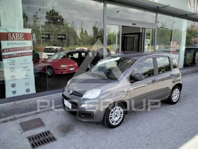 2021 Fiat Panda