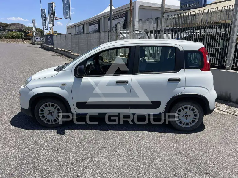 2021 Fiat Panda