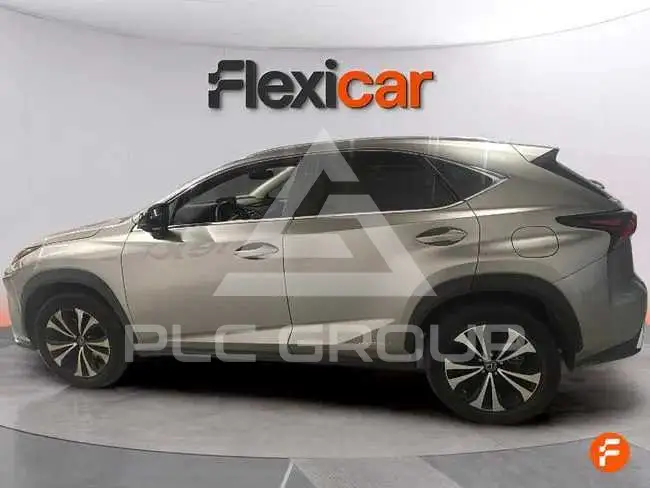 2021 Lexus NX