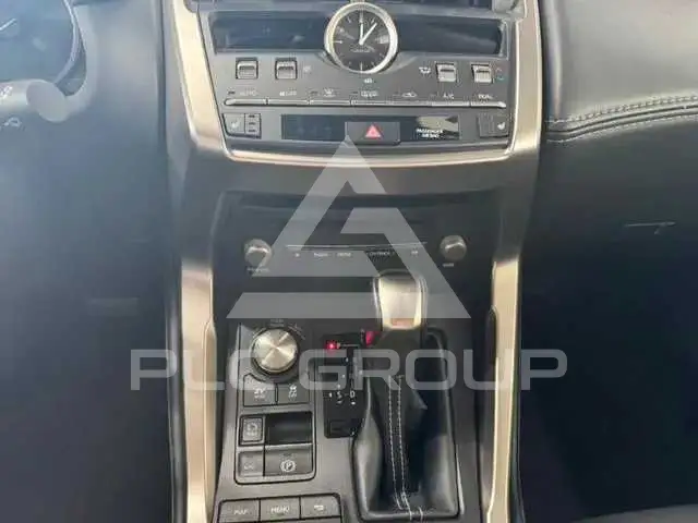 2021 Lexus NX