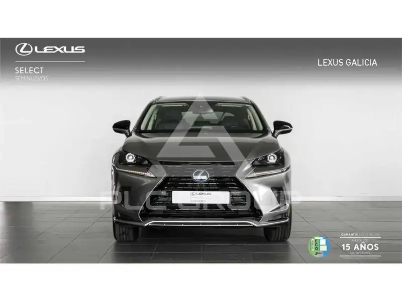 2021 Lexus NX