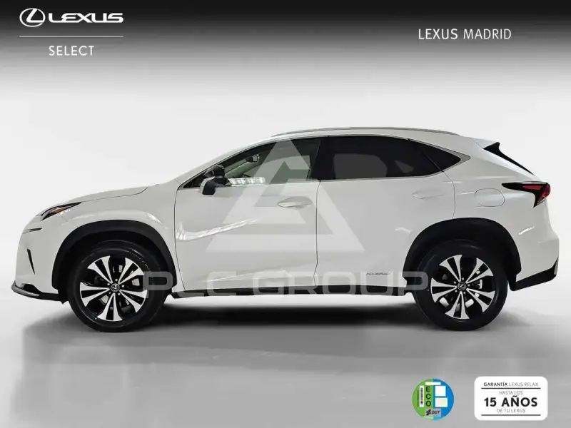 2021 Lexus NX