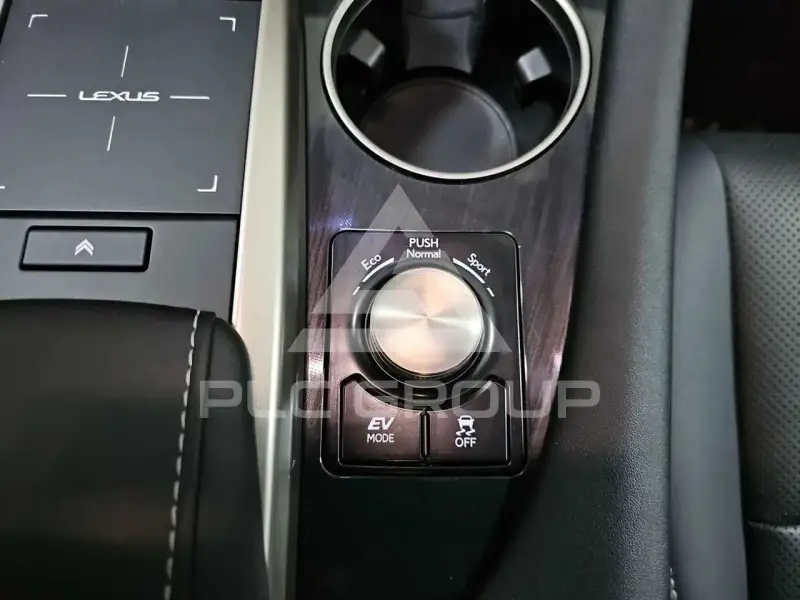 2021 Lexus RX