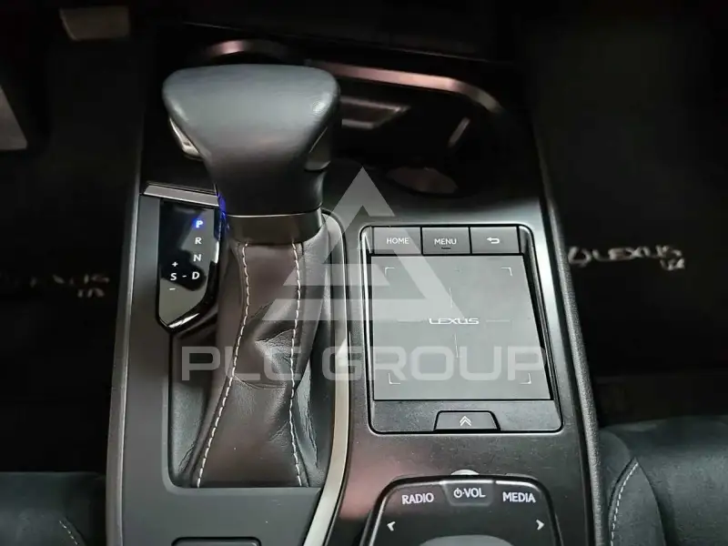 2021 Lexus UX
