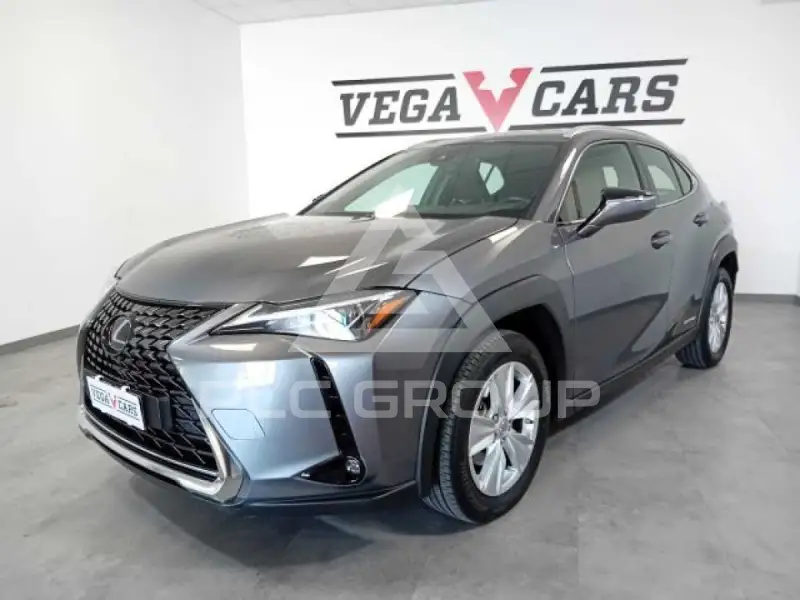 2021 Lexus UX