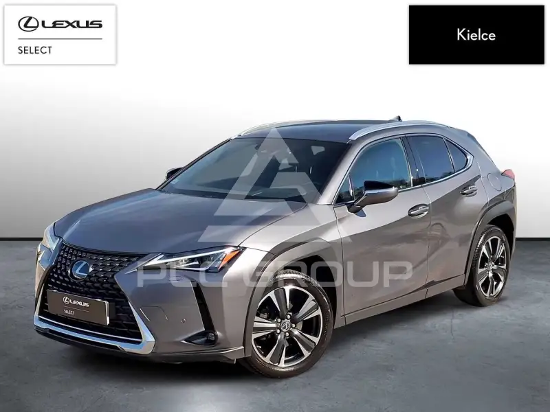 2021 Lexus UX