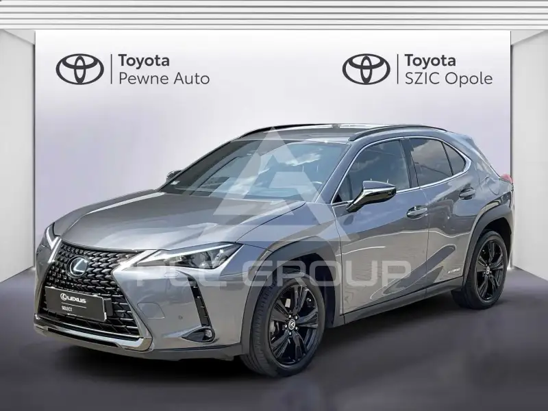2021 Lexus UX