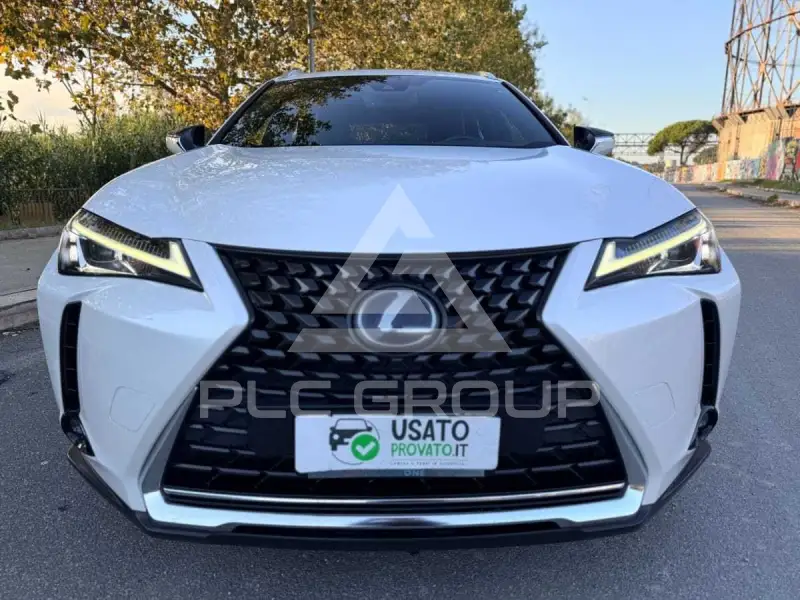 2021 Lexus UX