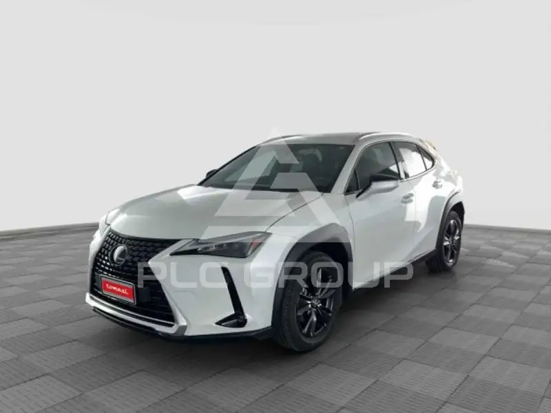 2021 Lexus UX