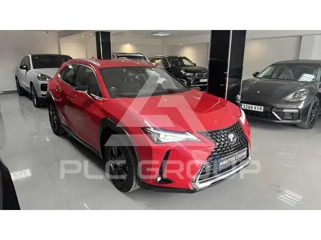 2021 Lexus UX