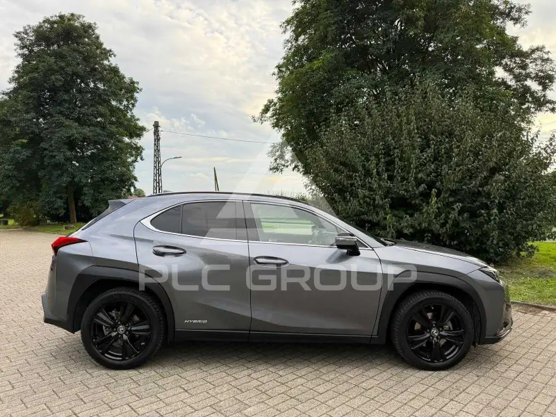 2021 Lexus UX