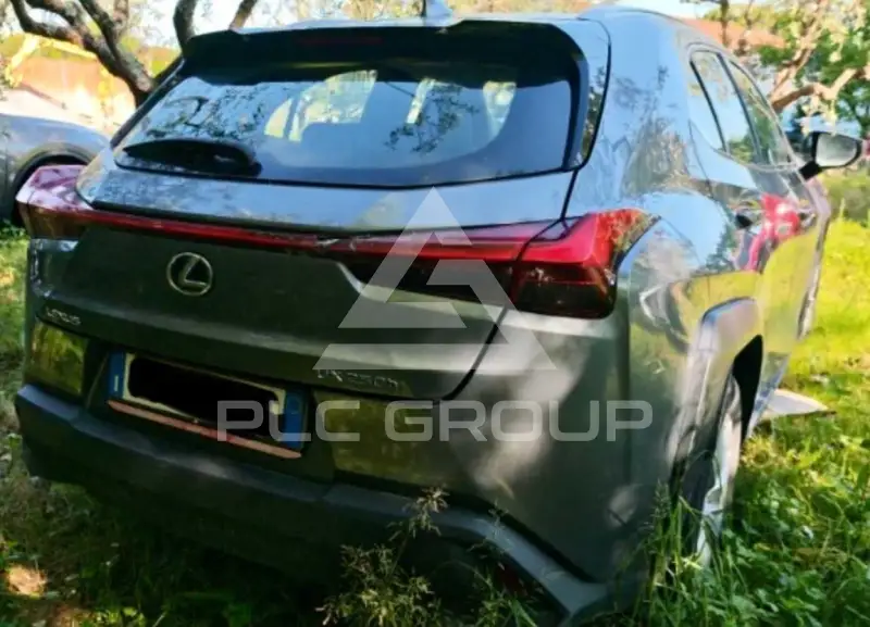 2021 Lexus UX